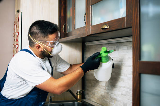 Best Cockroach Control Services  in Beechwood Village, KY