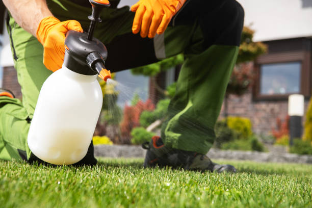 Best Pest Removal Services  in Beechwood Village, KY