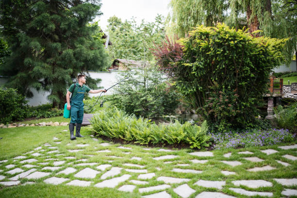 Best Insect Control  in Beechwood Village, KY