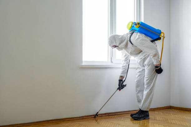 Best Local Pest Control Services  in Beechwood Village, KY