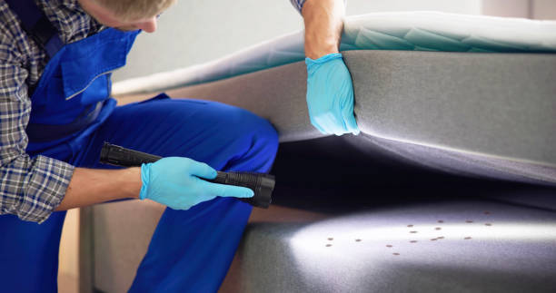 Trusted Beechwood Village, KY Pest Control Experts