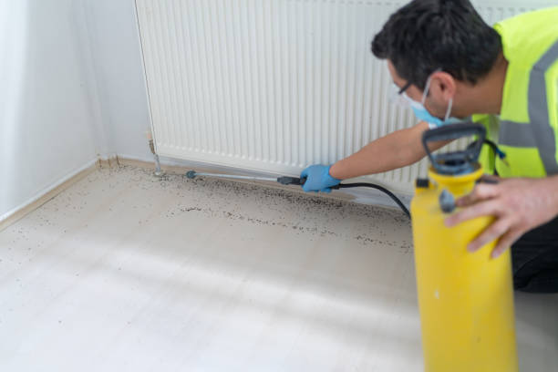 Best Bed Bug Extermination  in Beechwood Village, KY