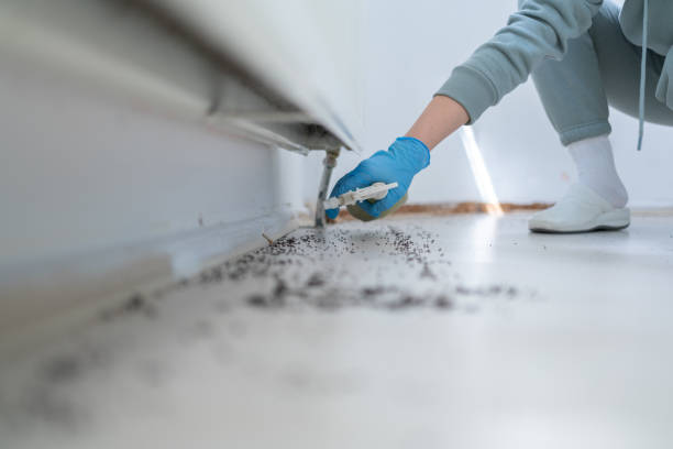 Best Exterminator Services  in Beechwood Village, KY