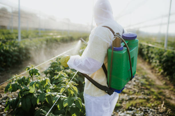 Best Mosquito Control Services  in Beechwood Village, KY